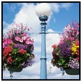 Butchart Gardens in Victoria British Columbia with vibrant flowers and paths
