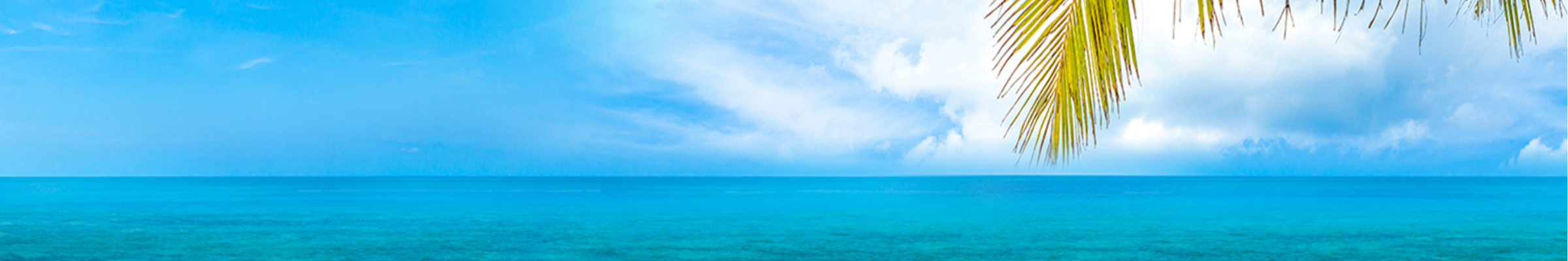 Redeeming Your Future Travel Credit