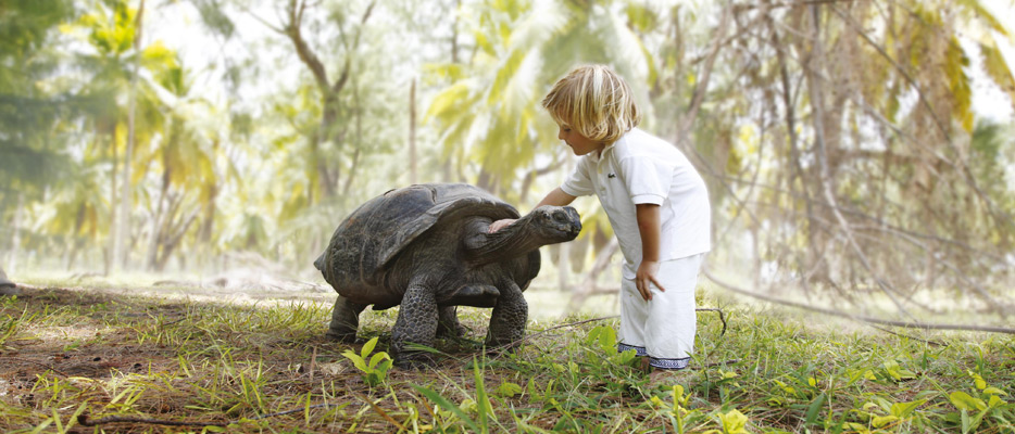 child with turtle